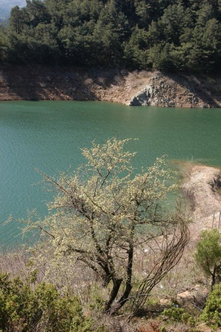 İzmir Büyükşehir, Bostanlı Barajı İçin Düğmeye Bastı