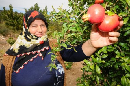 İzmir Büyükşehir, Rus Ve Amerikalı Alıcıları Organik Üreticileriyle Buluşturdu