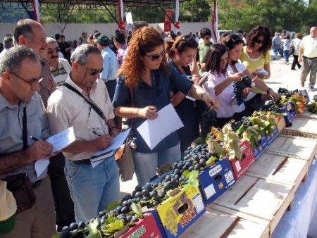 İzmir Büyükşehir Belediye Başkanı Kocaoğlu: Vallahi Efemçukuru'nu Vermem