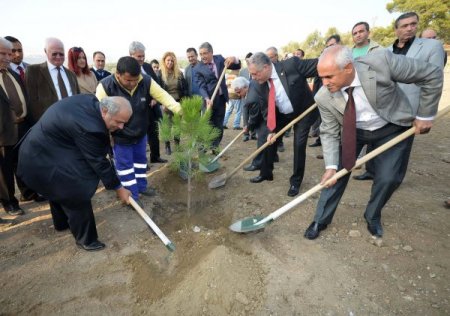 İzmir Büyükşehir Belediyesi hatıra ormanı kurdu