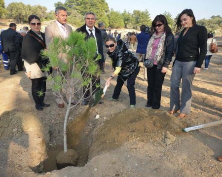 İzmir Büyükşehir Belediyesi hatıra ormanı kurdu