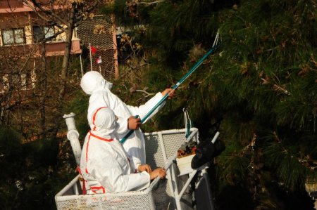 İzmir Büyükşehir çamkese mücadelesi başlattı