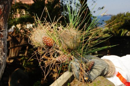 İzmir Büyükşehir çamkese mücadelesi başlattı