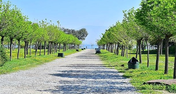 izmir-de-yesil-seferberlik.jpg