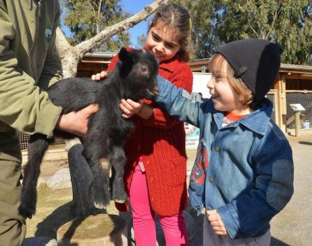 İzmir Doğal Yaşam Parkı yarıyıl tatilinde çocuklarla doldu