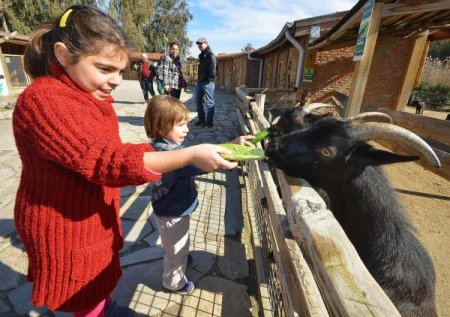 İzmir Doğal Yaşam Parkı yarıyıl tatilinde çocuklarla doldu