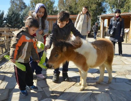 İzmir Doğal Yaşam Parkı yarıyıl tatilinde çocuklarla doldu