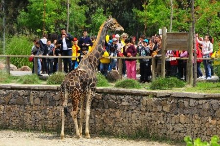 İzmir Doğal Yaşam Parkı'nı nisanda 141 bin kişi gezdi