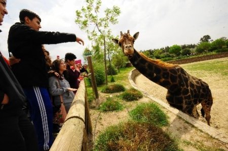 İzmir Doğal Yaşam Parkı'nı nisanda 141 bin kişi gezdi