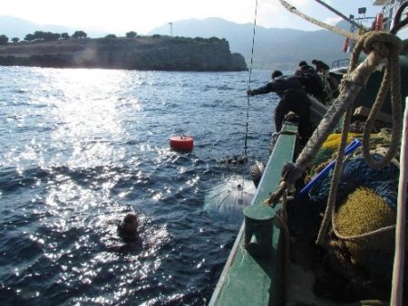 İzmir Körfezi’nin suyuna, akıntısına, havasına anlık takip