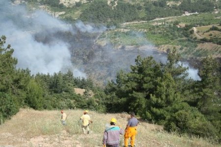 İzmir-Manisa yolunu kapatan yangın hala söndürülemedi