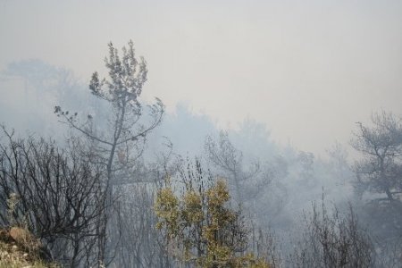 İzmir-Manisa yolunu kapatan yangın hala söndürülemedi