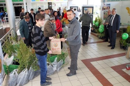 İzmir Orman Bölge Müdürlüğü ücretsiz 30 bin fidan dağıtıyor