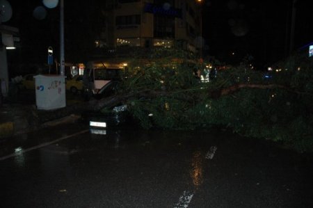 İzmir şiddetli yağış: Yollar çöktü, ağaçlar devrildi