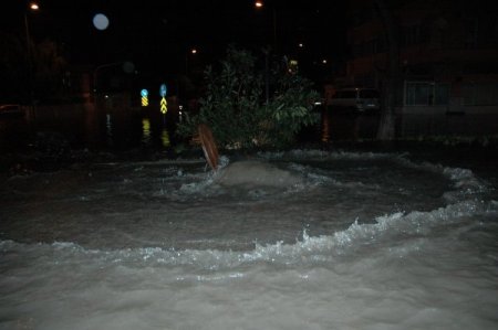 İzmir şiddetli yağış: Yollar çöktü, ağaçlar devrildi