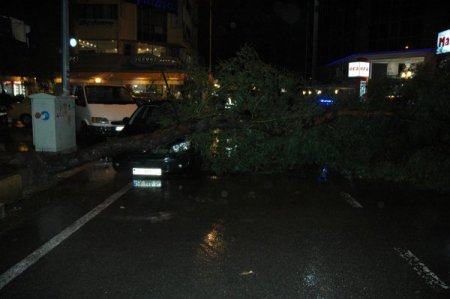 İzmir şiddetli yağış: Yollar çöktü, ağaçlar devrildi