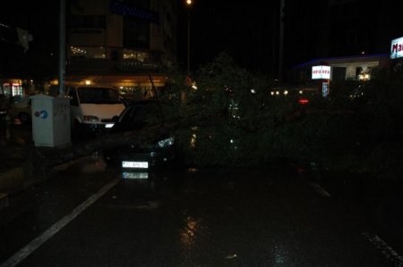 İzmir şiddetli yağış: Yollar çöktü, ağaçlar devrildi