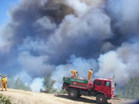 İzmir Ve Manisa’da Bu Yıl Bin 164 Yangına Müdahale Edildi