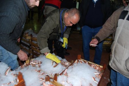 İzmir'de 1 Eylül'den beri 3,5 tona yakın kaçak avlanan balık yakalandı