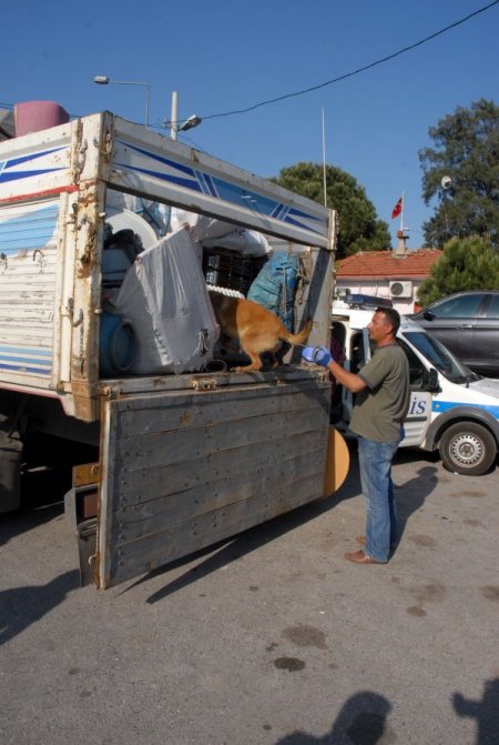 İzmir'de 55 Kilogram Esrar Ele Geçirildi