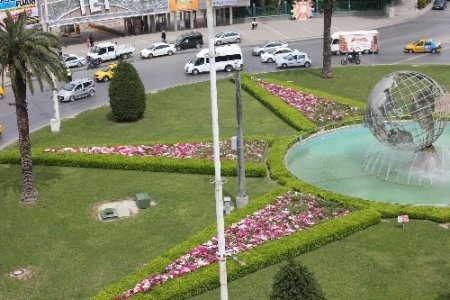 İzmir'de 600 bin adet godetya dikildi