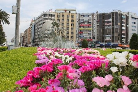 İzmir'de 600 bin adet godetya dikildi