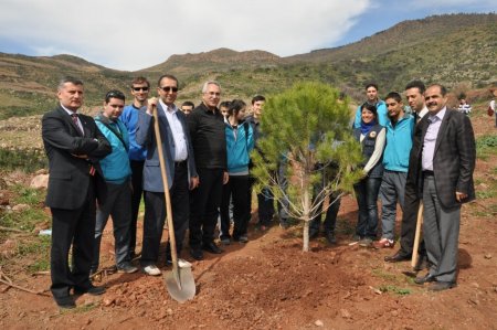 İzmir'de iki yıl önce yanan alana 1 milyon fidan dikildi