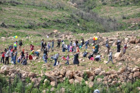 İzmir'de iki yıl önce yanan alana 1 milyon fidan dikildi