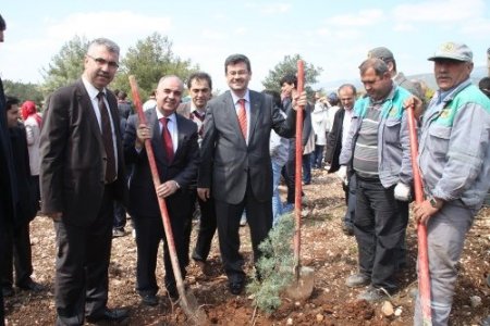 İzmir'de Kutlu Doğum için 5 bin fidan dikildi