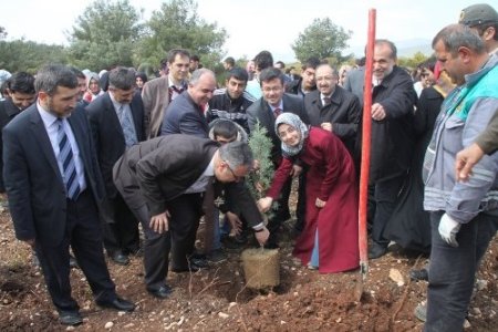 İzmir'de Kutlu Doğum için 5 bin fidan dikildi