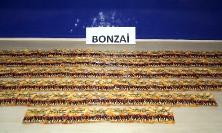 İzmir'de ölümcül uyuşturucu 'bonzai' operasyonu