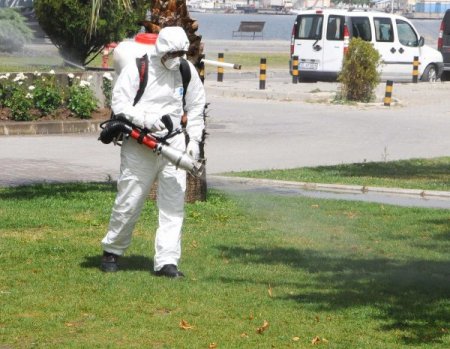 İzmir’de Son Üç Yılda 30 Bin Kene Şikayeti Yapıldı