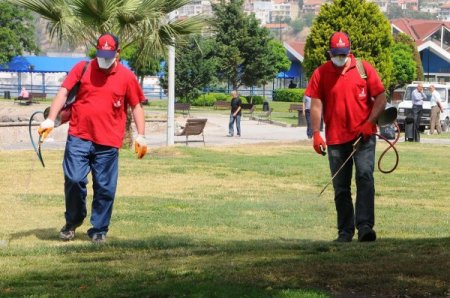 İzmir’de Son Üç Yılda 30 Bin Kene Şikayeti Yapıldı