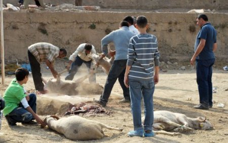 İzmir'de vatandaşlar 40 merkezde kurbanlarını kesiyor