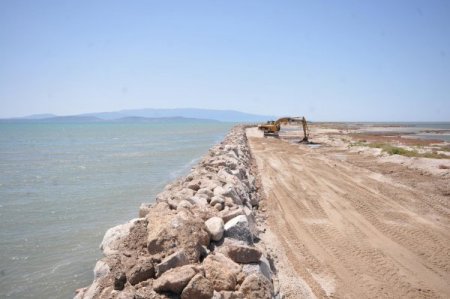 İzmir'deki Homa Dalyanı Kurtarıldı