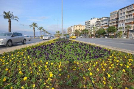İzmir'e bu yıl 4 milyon adet çiçek dikilecek