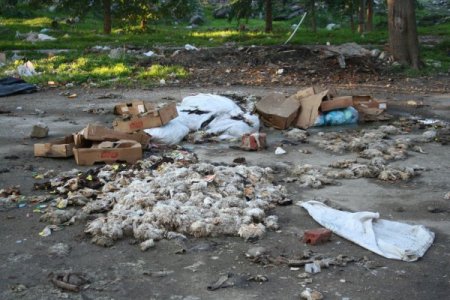 İzmir'in merkezinde tonlarca hayvan leşi ortalığa atıldı