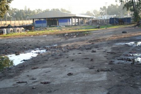 İzmir'in merkezinde tonlarca hayvan leşi ortalığa atıldı