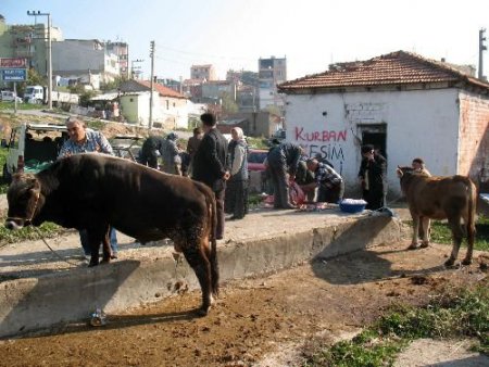 İzmirliler, Kurbanlık Kesimi İçin Modern Yerleri Tercih Etti