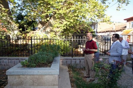 İznik'te bin 200 yaşındaki çınar Vali Harput’u kendine hayran bıraktı