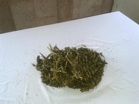 Jandarma, Manavgat'ta 430 gram esrar ele geçirdi