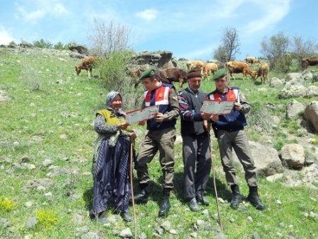 Jandarma aile içi şiddet için seferber oldu