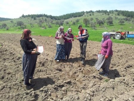 Jandarma aile içi şiddet için seferber oldu