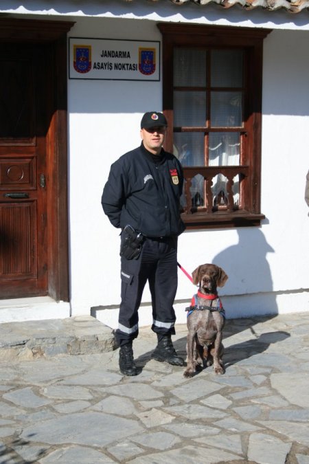 Jandarma aşırı kalabalık beklenen Şirince'de köpekli tatbikat yaptı