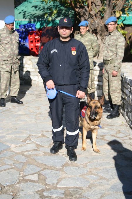 Jandarma aşırı kalabalık beklenen Şirince'de köpekli tatbikat yaptı