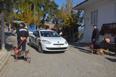 Jandarma aşırı kalabalık beklenen Şirince'de köpekli tatbikat yaptı