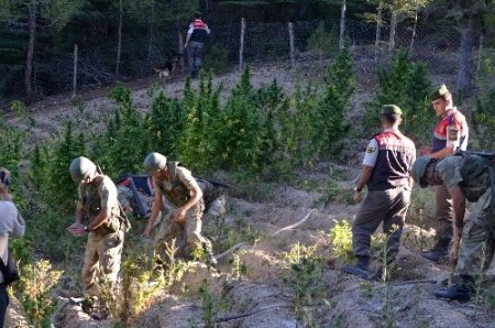 Jandarma uyuşturucu tacirini sigara izmaritinden yakaladı