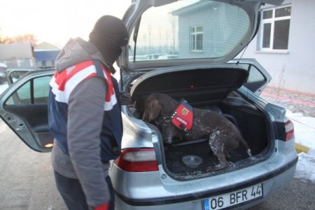 Jandarma ve polisten ortak uyuşturucu operasyonu