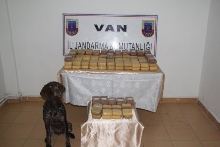 Jandarma ve polisten ortak uyuşturucu operasyonu