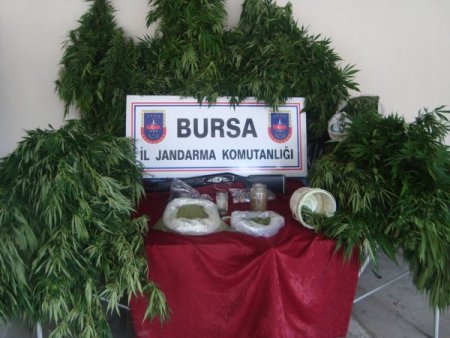 Jandarmadan Esrar Operasyonu